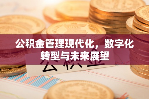 阿瓦提公积金管理现代化，数字化转型与未来展望