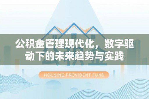 阿瓦提公积金管理现代化，数字驱动下的未来趋势与实践