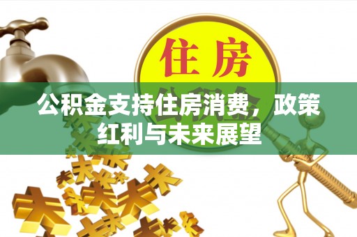 阿瓦提公积金支持住房消费，政策红利与未来展望