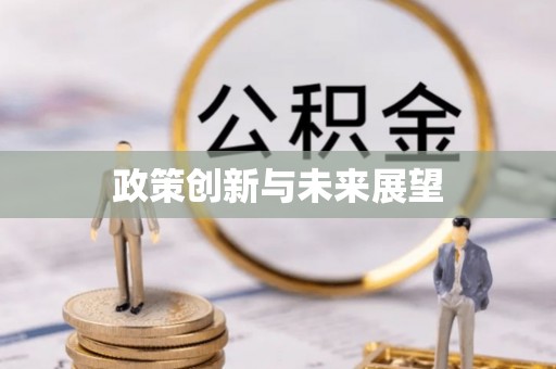 阿瓦提政策创新与未来展望